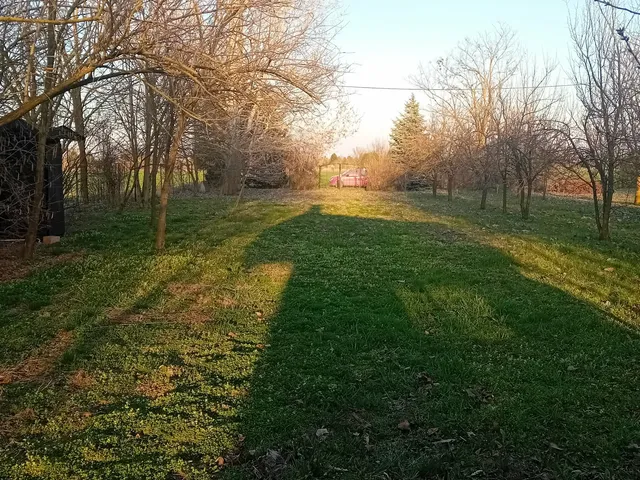 Eladó telek Csárdaszállás, Solymosi 1000 nm