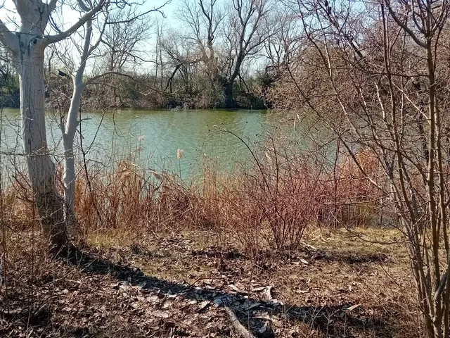 Eladó telek Gyomaendrőd, Endrőd 700 nm