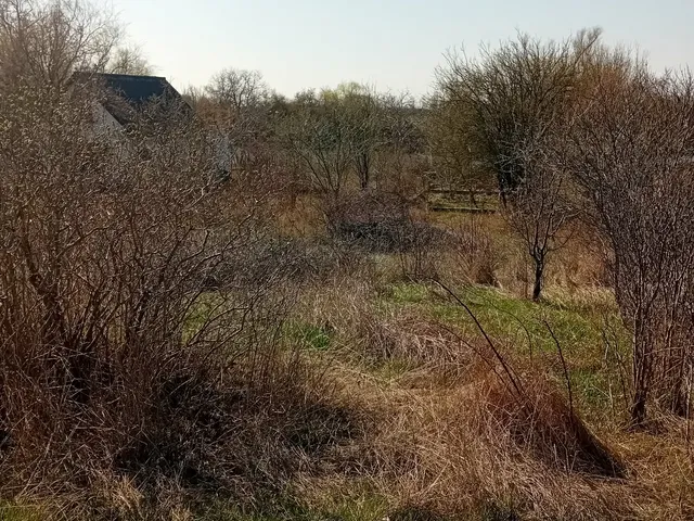 Eladó telek Gyomaendrőd, Endrőd, Farkasfoki kertsor 700 nm