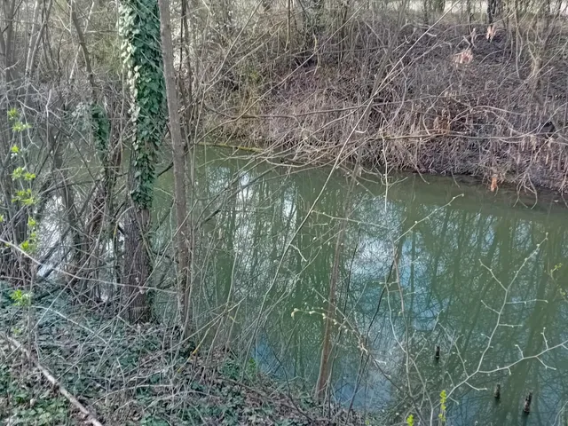 Eladó telek Gyomaendrőd, Endrőd 961 nm