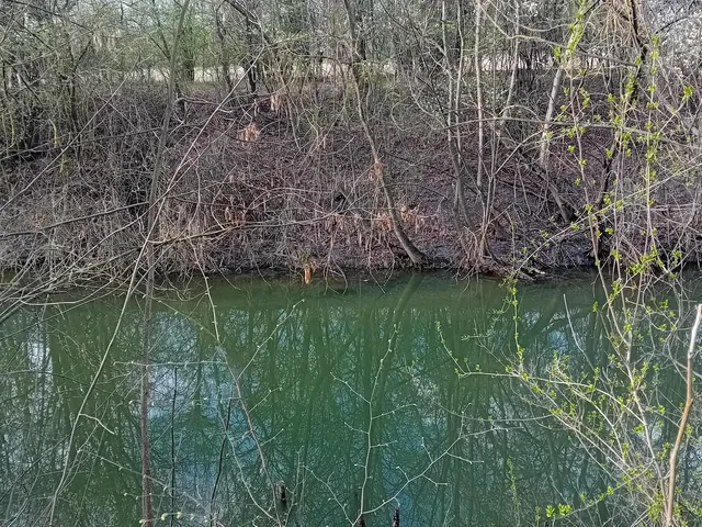 Eladó telek Gyomaendrőd, Endrőd, Tölgy 961 nm