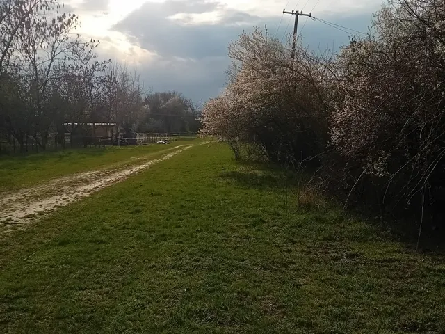 Eladó telek Gyomaendrőd, Endrőd, Tölgy 961 nm