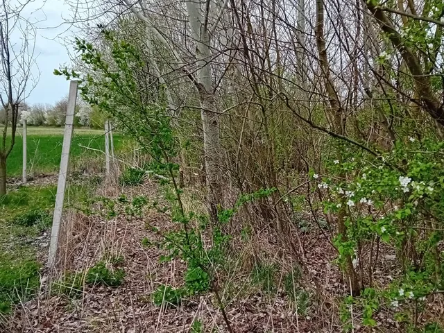 Eladó telek Békésszentandrás, Sirató 2945 nm