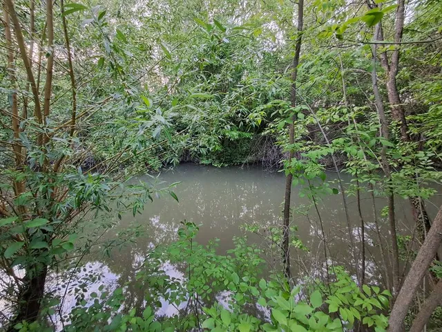 Eladó telek Gyomaendrőd, Endrőd 960 nm