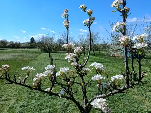Eladó telek Gyomaendrőd, Gyoma, Dobó István 1530 nm
