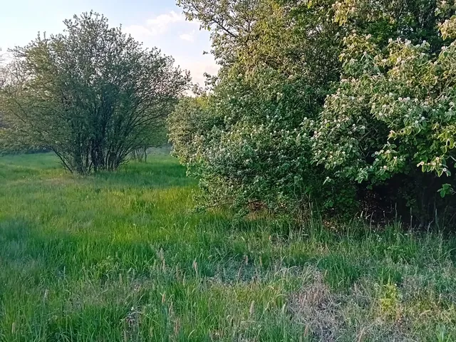 Eladó telek Gyomaendrőd, Gyoma 1648 nm