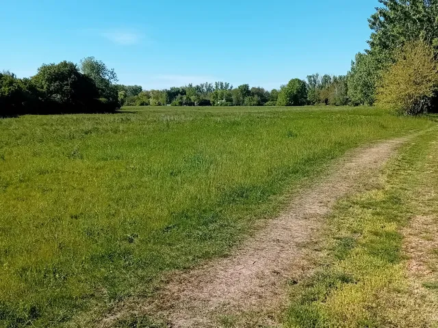 Eladó telek Mezőtúr, Vízközikert, Takácstanya 800 nm