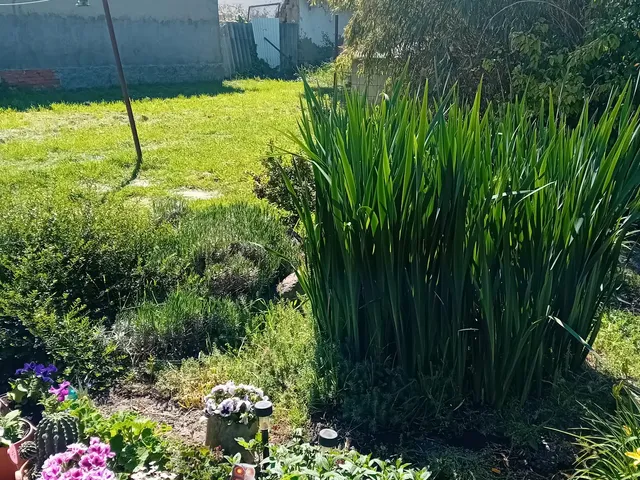Eladó ház Gyomaendrőd, Endrőd 80 nm