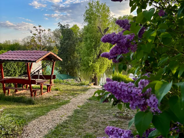 Eladó nyaraló Gyomaendrőd, Endrőd 38 nm