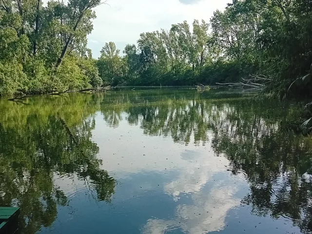 Eladó nyaraló Mezőtúr, Kétgátközi kert 52 nm