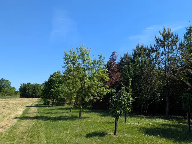 Eladó telek Gyomaendrőd, Gyoma, Sipos Pál 3040 nm