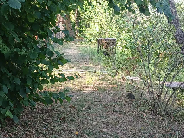 Eladó telek Gyomaendrőd, Gyoma, Varga László 1220 nm