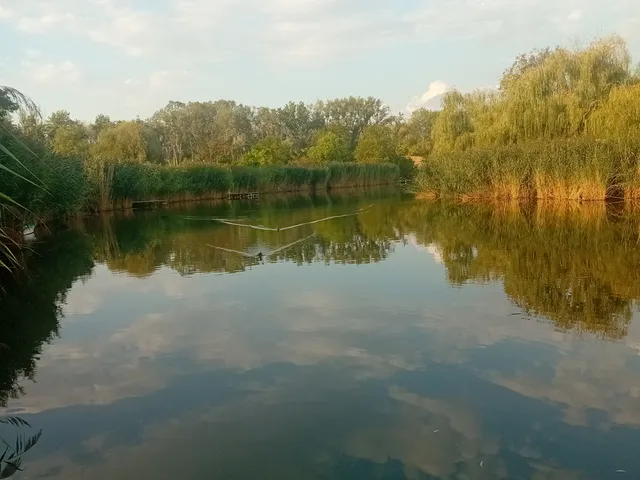 Eladó nyaraló Gyomaendrőd, Gyoma 40 nm