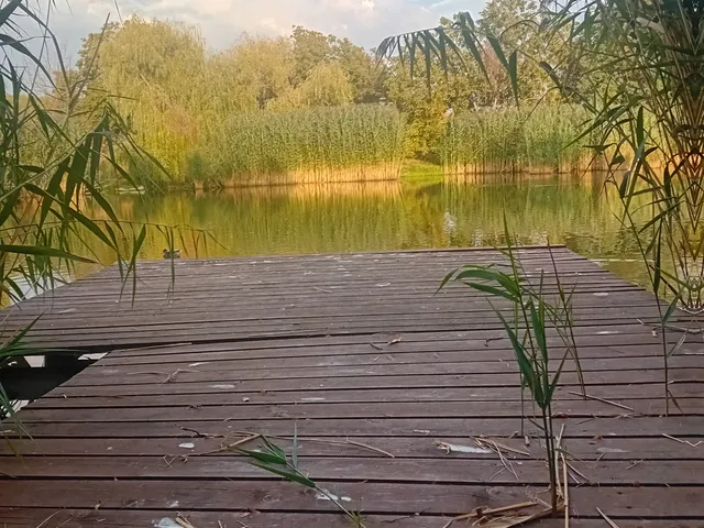 Eladó nyaraló Gyomaendrőd, Gyoma, Hantoskerti 40 nm