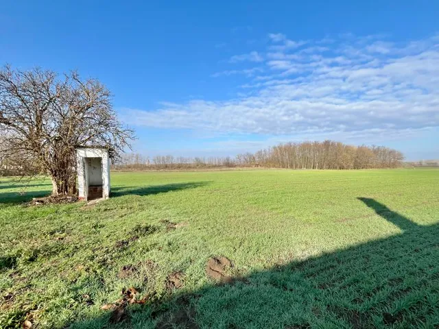 Eladó mezőgazdasági ingatlan Tápiószentmárton 22 nm