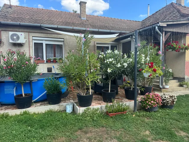 Eladó ház Hajdúszovát 100 nm
