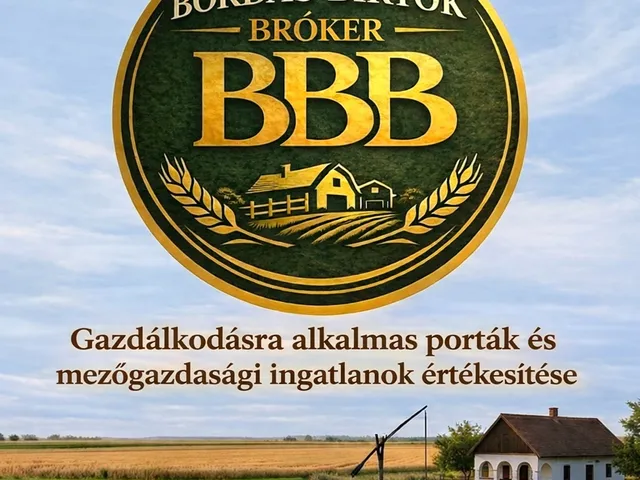 Eladó mezőgazdasági ingatlan Ebes 150 nm