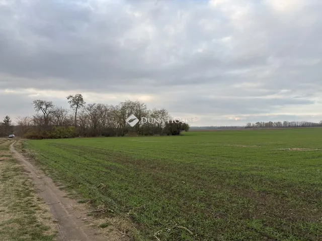 Eladó mezőgazdasági ingatlan Jászberény 47153 nm