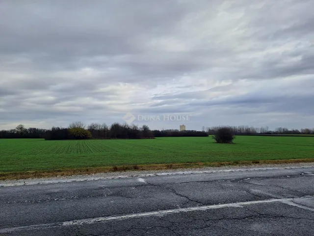 Eladó mezőgazdasági ingatlan Jászberény 60466 nm