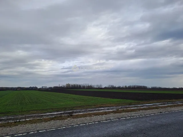 Eladó mezőgazdasági ingatlan Jászberény 60466 nm