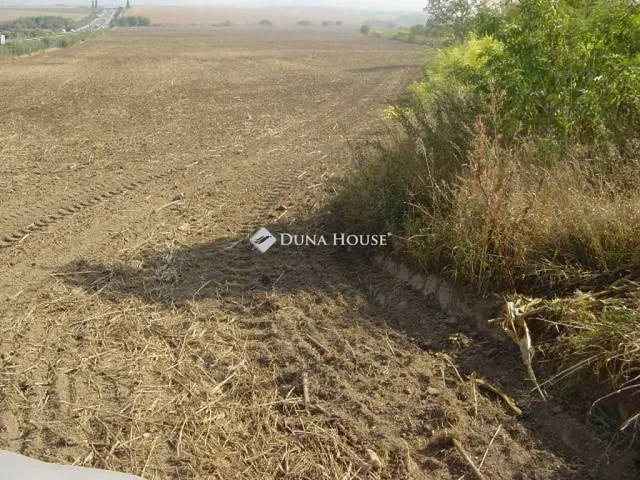 Eladó telek Mány 50902 nm