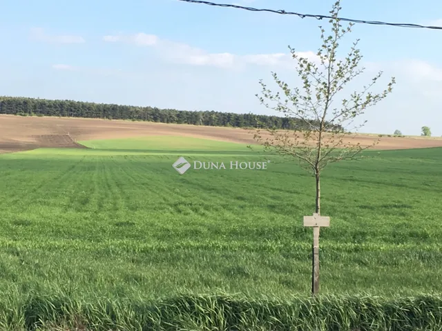 Eladó telek Etyek 4904 nm
