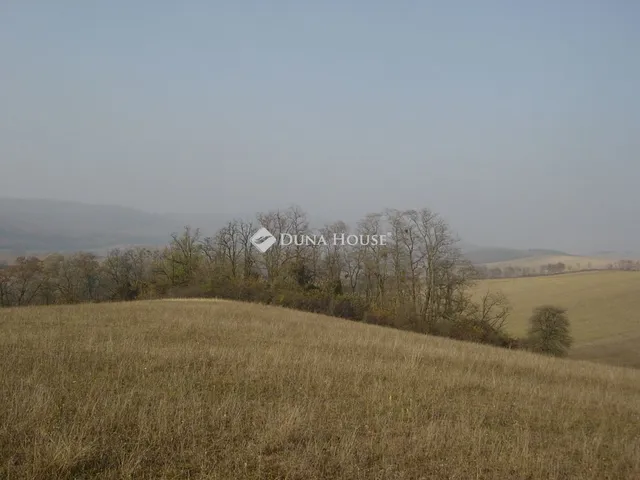 Eladó telek Bicske 42349 nm