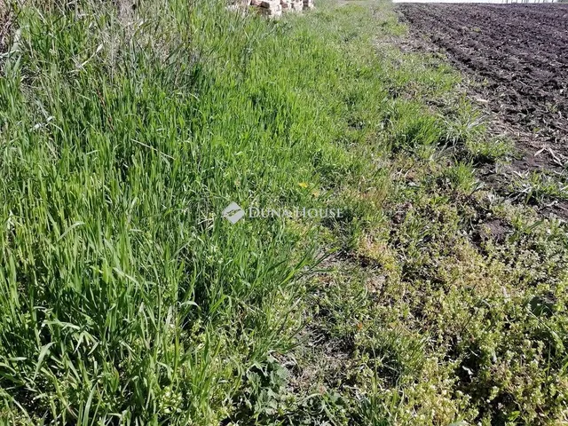 Eladó telek Felcsút 1242 nm