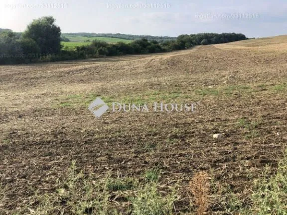 Eladó mezőgazdasági ingatlan Etyek 35329 nm