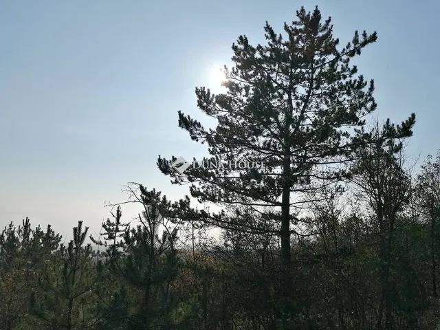 Eladó telek Zsámbék 1608 nm
