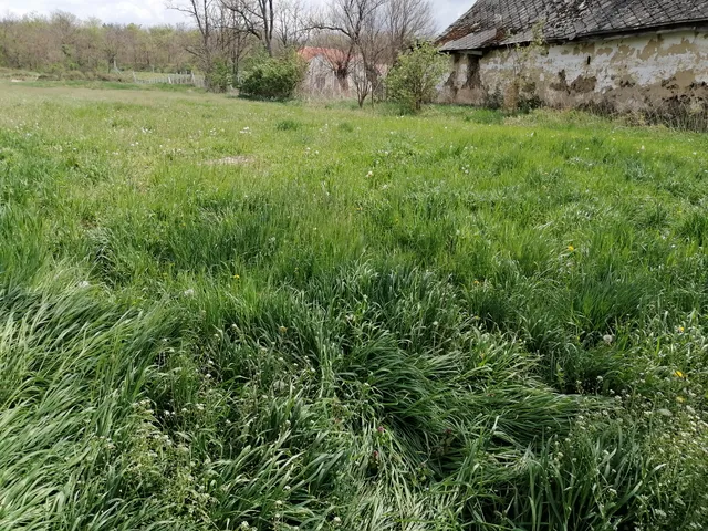 Eladó telek Baracska, Széchenyi István utca 1200 nm