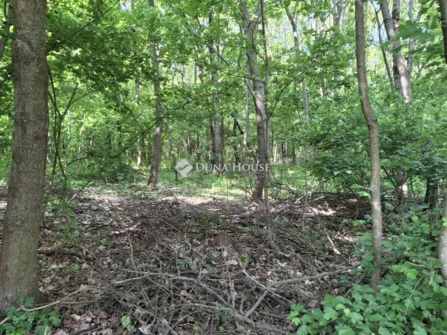 Eladó telek Alcsútdoboz 1440 nm
