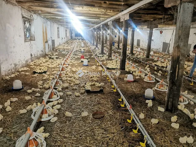 Eladó mezőgazdasági ingatlan Bakonyszombathely, Baross Gábor utca 1200 nm