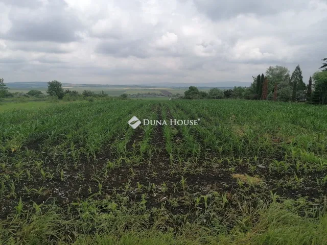 Eladó telek Bicske 5260 nm
