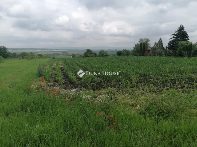 Eladó telek Bicske 5260 nm