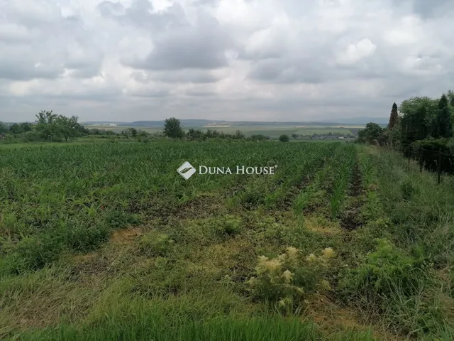 Eladó telek Bicske 5260 nm