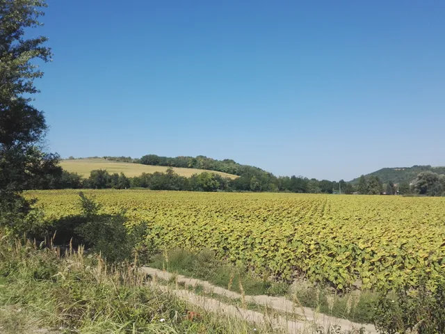 Eladó telek Bicske 2807 nm