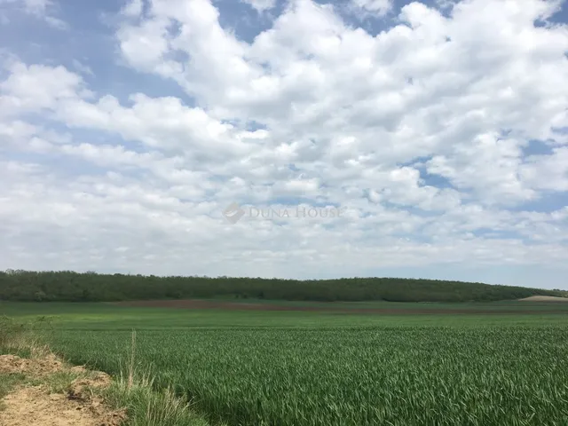 Eladó mezőgazdasági ingatlan Felcsút 5843 nm
