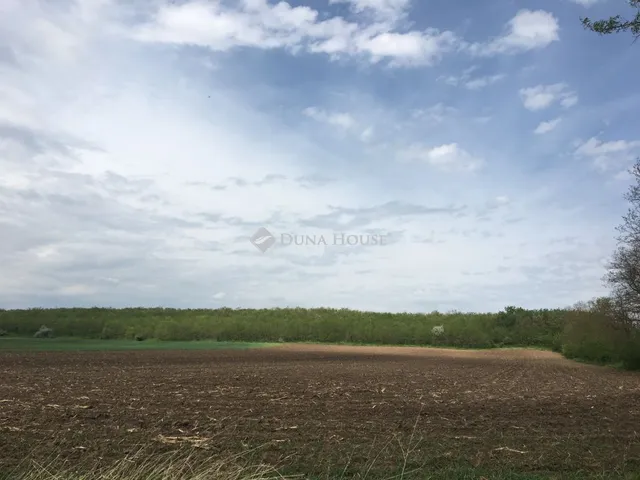 Eladó mezőgazdasági ingatlan Felcsút 5843 nm