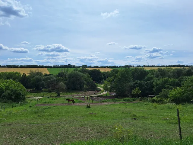 Eladó telek Mány 1118 nm