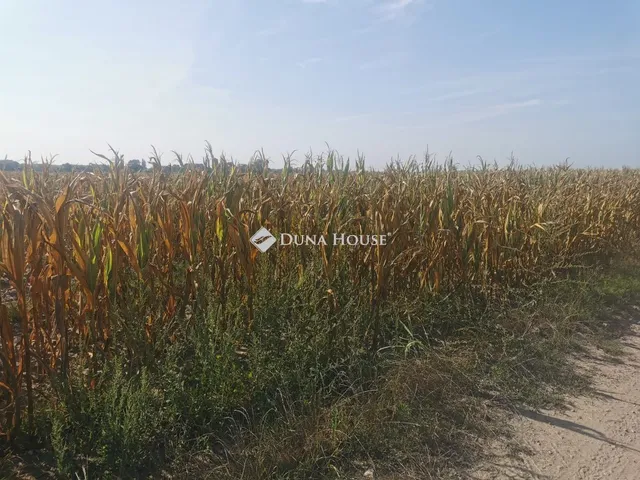 Eladó mezőgazdasági ingatlan Szomód 14704 nm