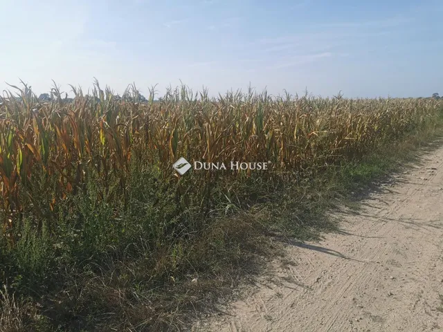 Eladó mezőgazdasági ingatlan Szomód, Külterület 14704 nm