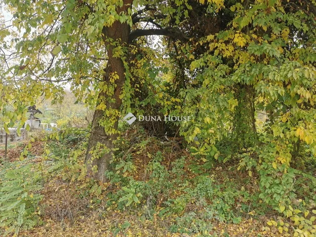 Eladó telek Tata 4787 nm
