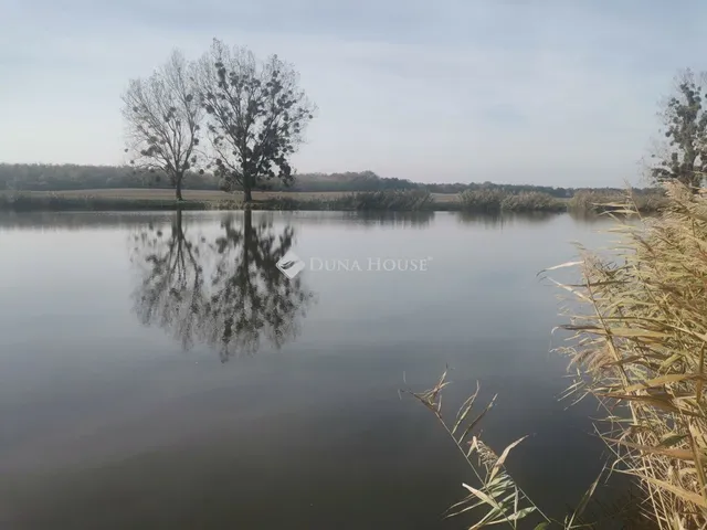 Eladó telek Naszály 118650 nm
