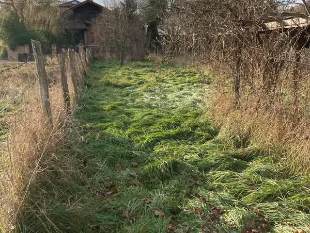 Eladó telek Mány 245 nm