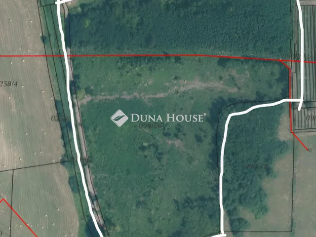 Eladó mezőgazdasági ingatlan Egerszólát, Külterület 49023 nm
