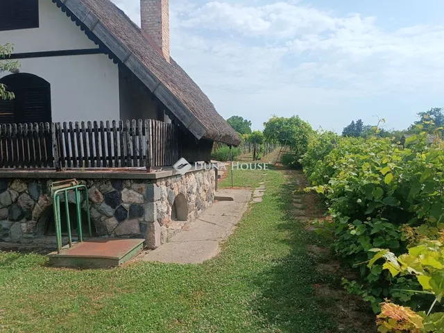 Eladó mezőgazdasági ingatlan Martonvásár 95 nm