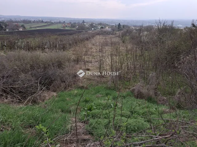 Eladó ház Bicske 20 nm