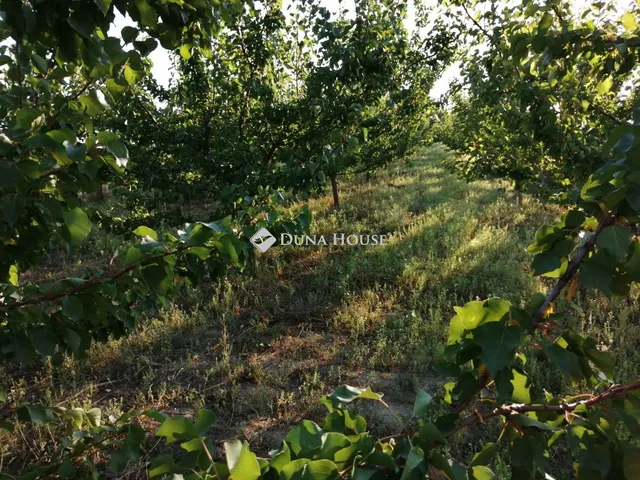 Eladó ház Bicske 20 nm