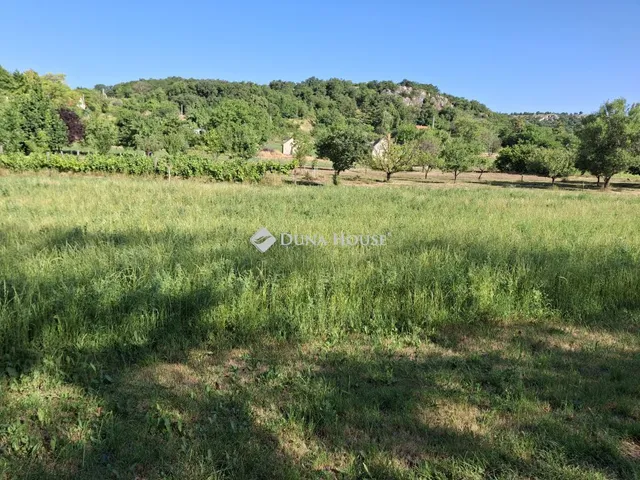 Eladó telek Csákvár 3179 nm